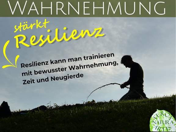 Wahrnehmung stärkt Resilienz Kinder in der Natur draussen