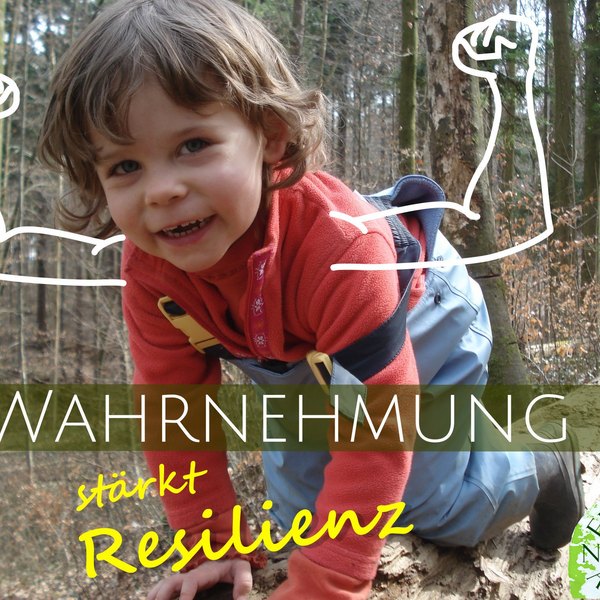 Wahrnehmung stärkt die Resilienz der Kinder in der Natur draussen