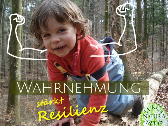 Wahrnehmung stärkt die Resilienz der Kinder in der Natur draussen