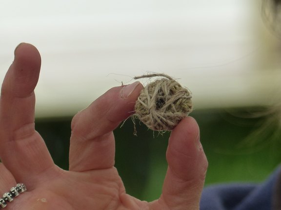 Faserkünste wie Stricken, Häkeln, Nähen oder Spinnen mit Brennnessel, Gras und Naturfarben