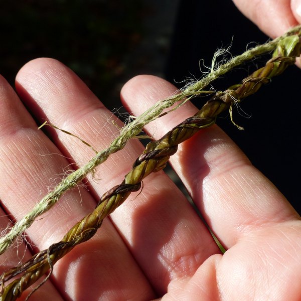 Faserkünste wie Stricken, Häkeln, Nähen oder Spinnen mit Brennnessel, Gras und Naturfarben