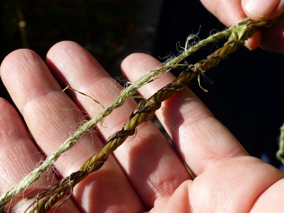 Faserkünste wie Stricken, Häkeln, Nähen oder Spinnen mit Brennnessel, Gras und Naturfarben