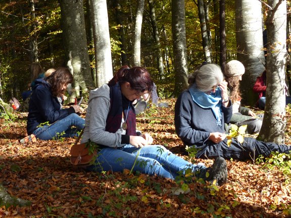 Faserkünste wie Stricken, Häkeln, Nähen oder Spinnen mit Brennnessel, Gras und Naturfarben